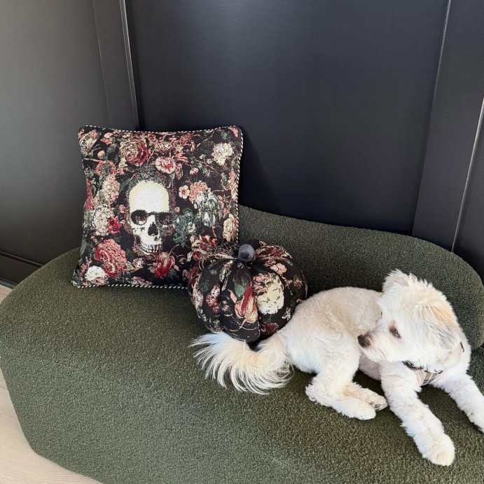 user image by @_chynagrant_, Square Skull Pillow - Threshold&#8482;