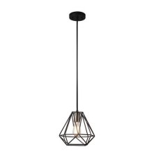 Shop For Living Plug-in Caged Ceiling Pendant Light, Matte Black/Brass and more