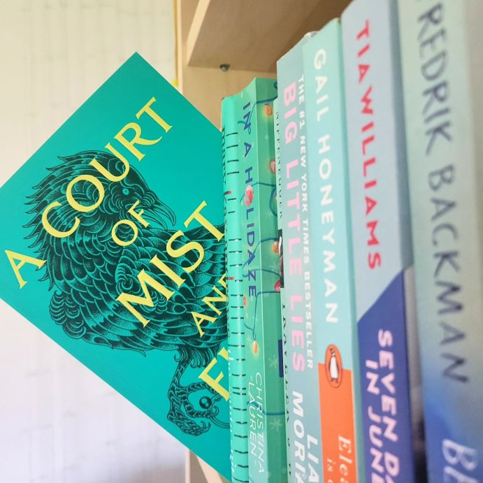 user image by @book_it_jules, A Court of Mist and Fury - (Court of Thorns and Roses) by Sarah J Maas