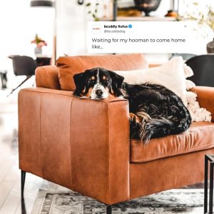 "This is what dreaaams are made of" - Lizze McGuire⁠
⁠
Photo Credit: urbanbarn