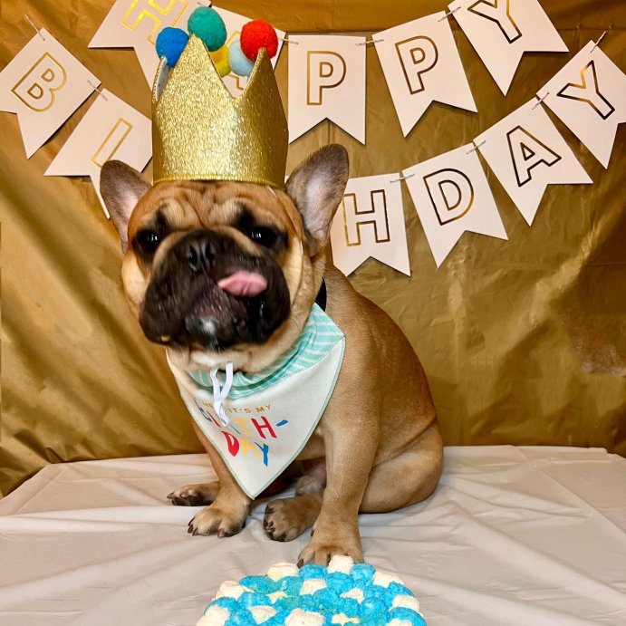 user image by @scrappy_nappy, "Happy Birthday" Party Banner White/Gold - Spritz&#8482;