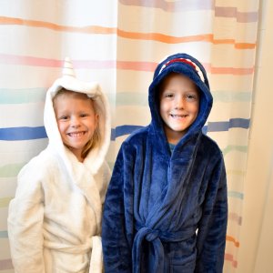 Rainbow Stripe Shower Curtain