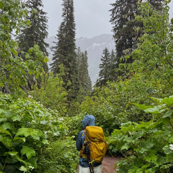 CORE-CF ストック オリーブ REI Co-op Flash 55 Pack - Women's | REI Co-op