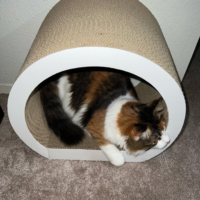 user image by @shellysgardenandmore, Tunnel Cat Scratcher - Boots &#38; Barkley&#8482;