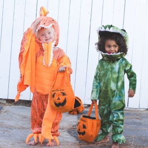 Light-Up Pterodactyl Halloween Costume