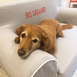 Gray with White Piping Anywhere Sofa Lounger®| Kids Lounge