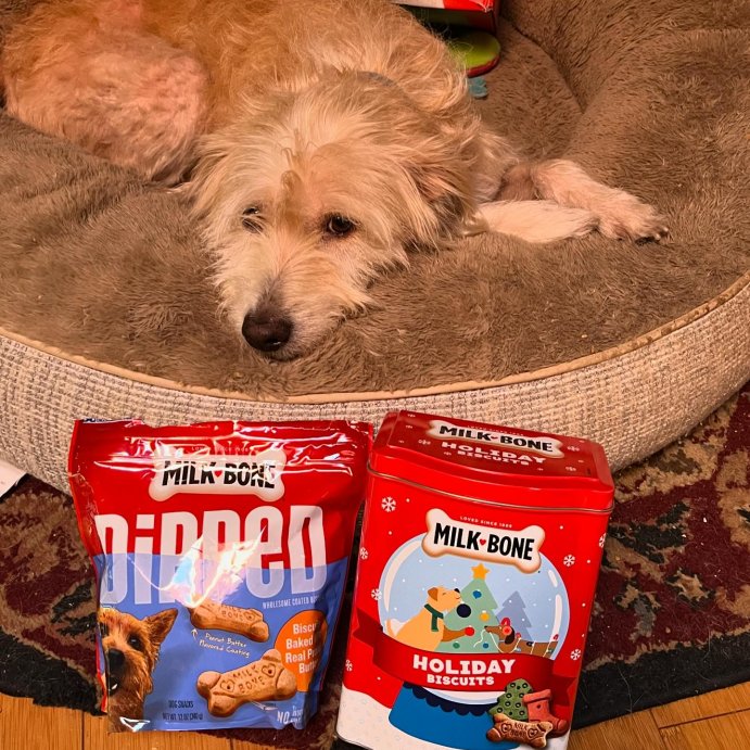 user image by @antoinnes, Milk-Bone Dipped Peanut Butter Crunchy Dog Treats