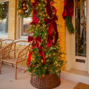 Handwoven Vine Tree Collar