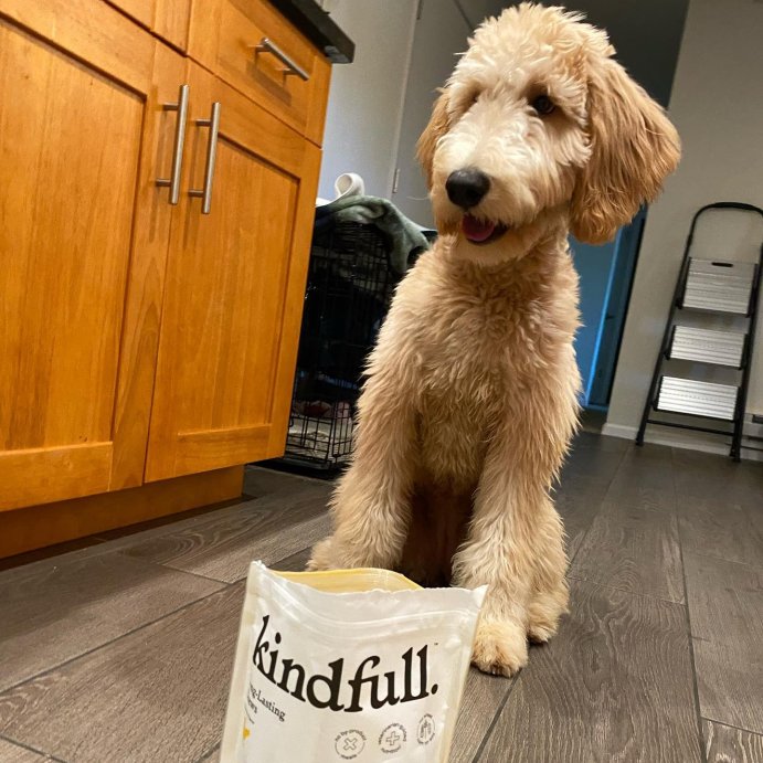 user image by @zoey.flwrs, Long Lasting Peanut Butter Flavor Dog Treats - Small/Medium - 21oz - Kindfull&#8482;