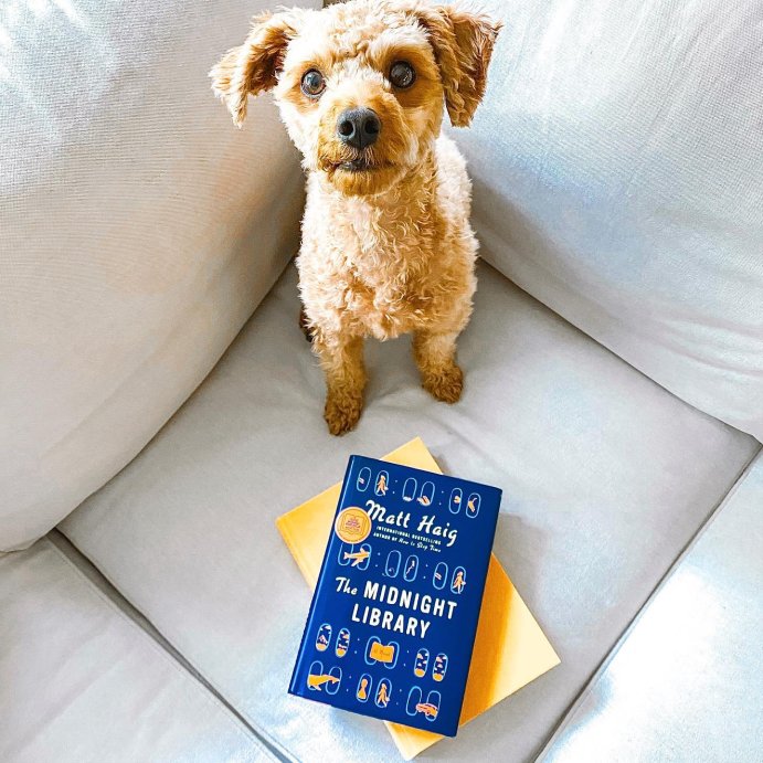 user image by @readingwithbeans, The Midnight Library - by Matt Haig