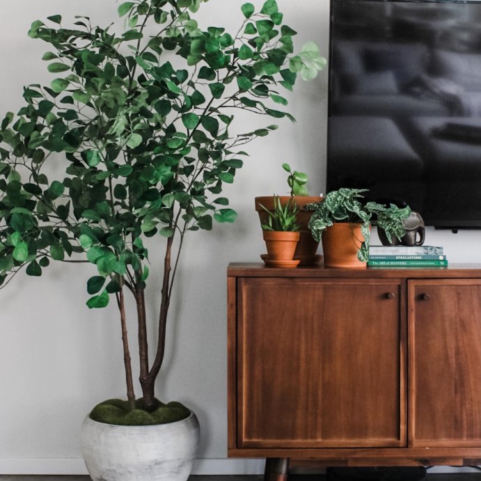 user image by @abigailamirahome, 72&#34; Artificial Ficus Tree - Threshold&#8482; designed with Studio McGee