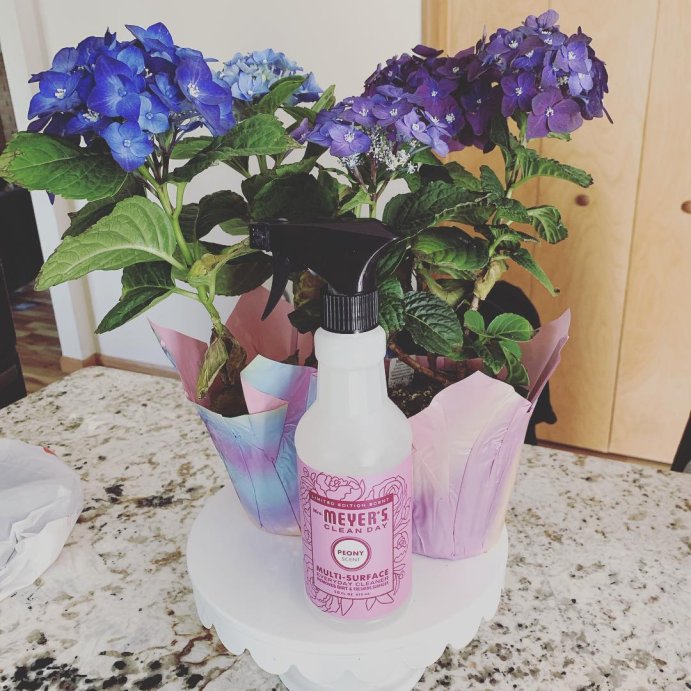 user image by @anastacia_cecilia, Mrs. Meyer&#39;s Clean Day Peony Scented Multi-Surface Everyday Cleaner - 16 fl oz