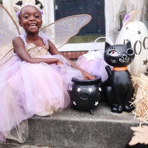 Lavender Butterfly Fairy Halloween Costume