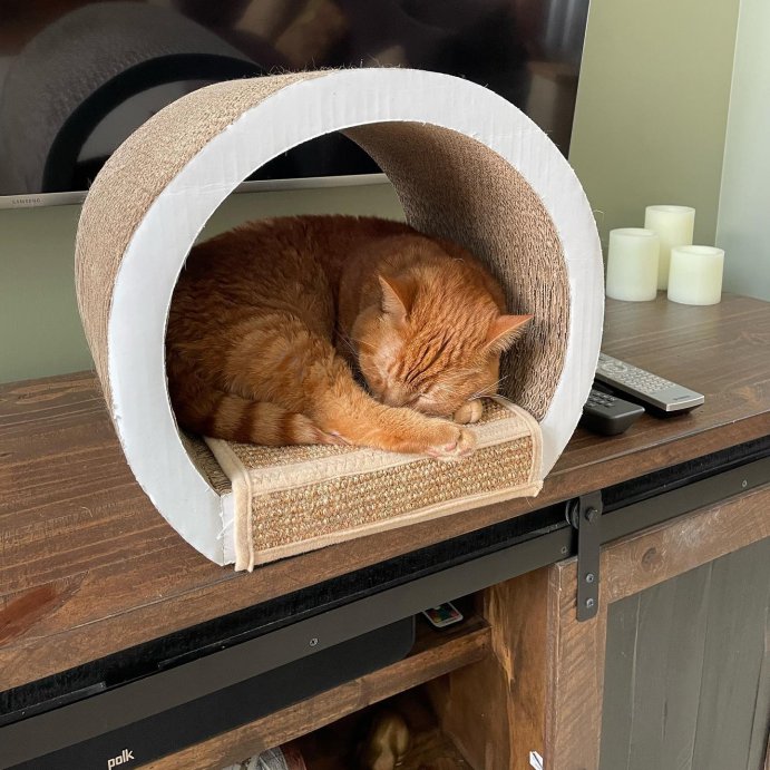 user image by @karh912, Tunnel Cat Scratcher - Boots &#38; Barkley&#8482;