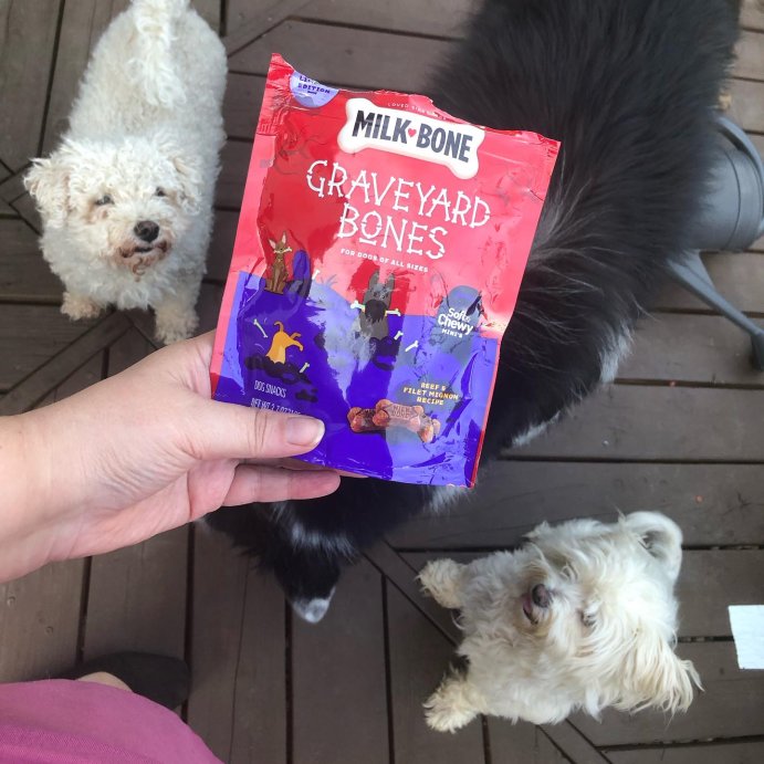 user image by @emilyinthemoment, Milk-Bone Graveyard Soft Bones and Chewy Dog Treats with Beef Flavor - 3.7oz