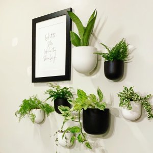 Ceramic Indoor/Outdoor Wallscape Planters | West Elm