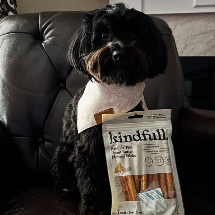user image by @mika_havanese, Rawhide-Free Peanut Butter Flavor Recipe Stick Dog Treat - 3.5oz/10ct - Kindfull&#8482;