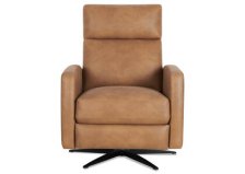 Shop Dalton Recliner -Russ Tan and more