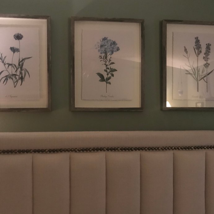 user image by MJBRADLEY711 , (Set of 3) 16&#34;x20&#34; Framed Vintage Botanicals Decorative Wall Art Natural/Blue - Threshold&#8482;