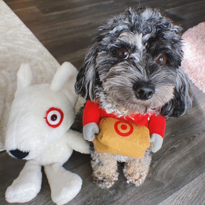 user image by @mylittlegirlyzara, Halloween Target Delivery Dog and Cat Frontal Costume - Hyde and EEK! Boutique™