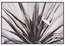 Shop Frond Wall Art and more