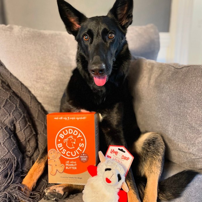 user image by @thepoochadvisor, Buddy Biscuits Oven Baked Crunchy Peanut Butter Dog Treats