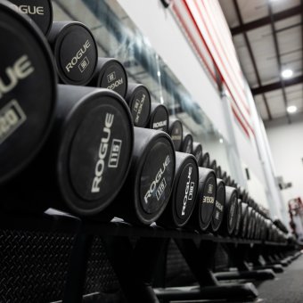 Rogue Urethane Dumbbells - Weight Training | Rogue Fitness