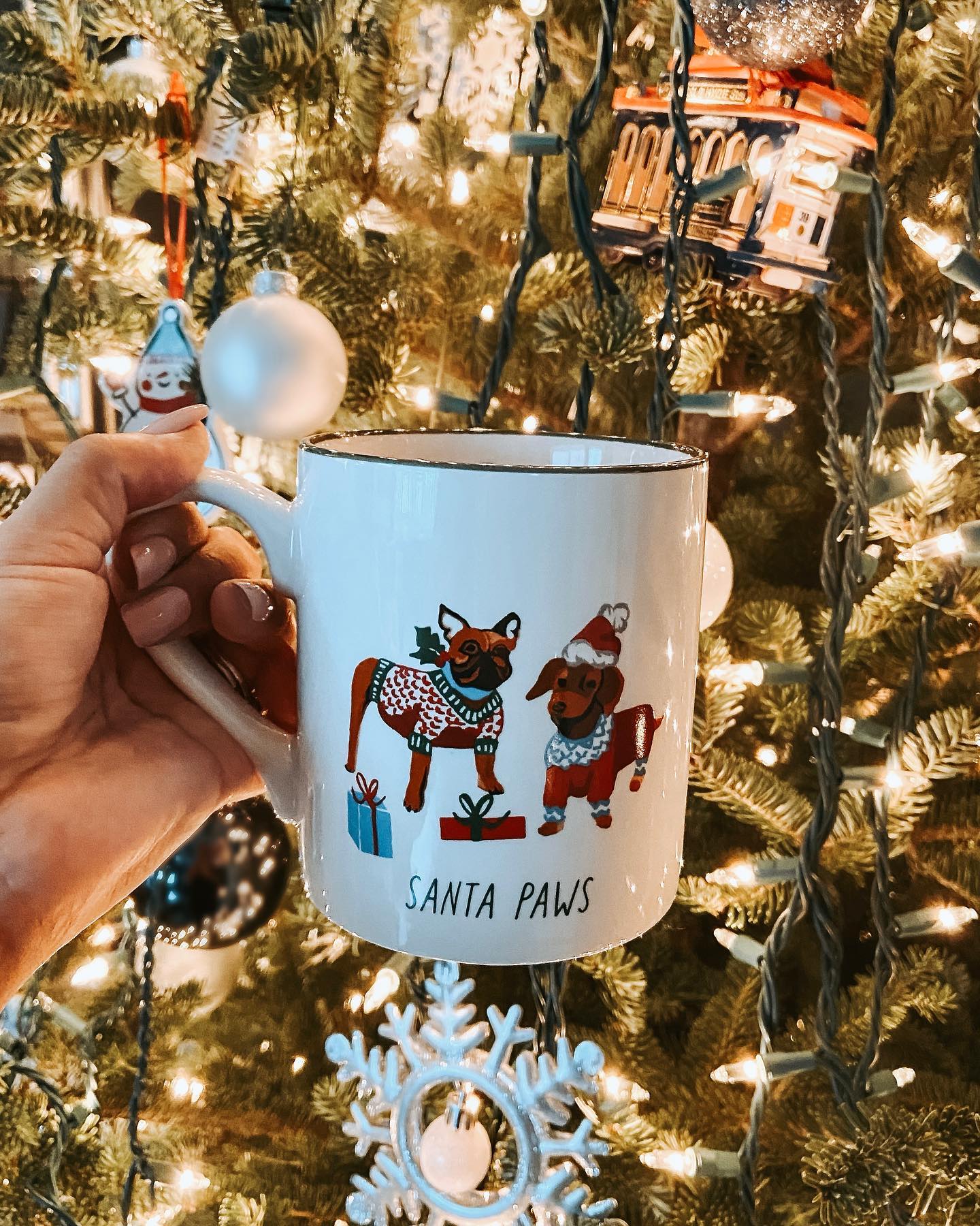 Santa Noemi Su Rubella