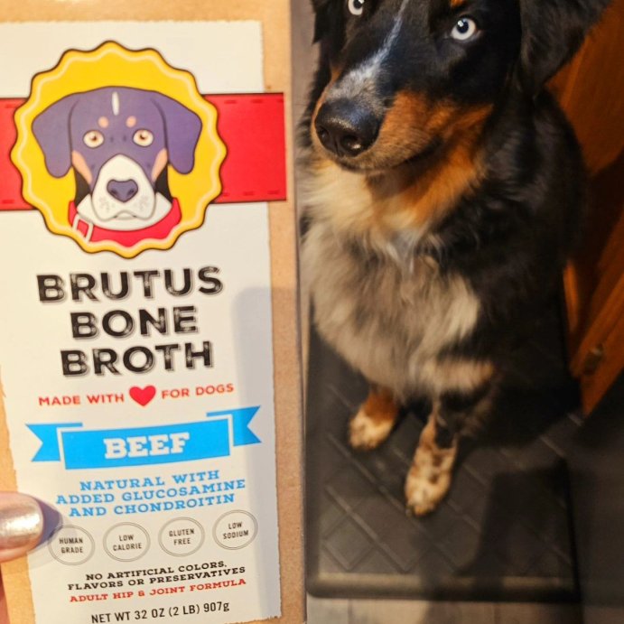 user image by @mac_attack_2023, Brutus Bone Broth Hip &#38; Joint Formula Wet Dog Food - Supplement - Beef - 32oz