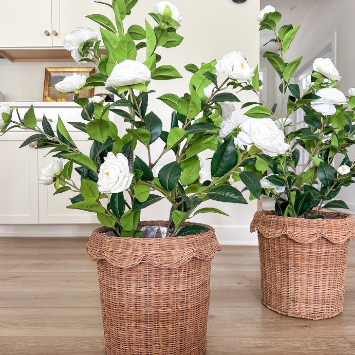 user image by @thislovelyabode, Scalloped Rattan Planter Basket - Hearth & Hand™ with Magnolia