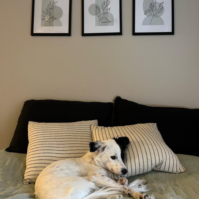 user image by @poppy.therescuepuppy, Oversized Cotton Striped Square Throw Pillow - Threshold™