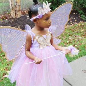 Lavender Butterfly Fairy Halloween Costume