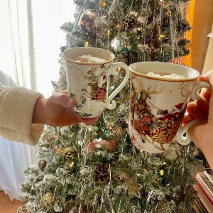 'Twas the Night Before Christmas Mugs
