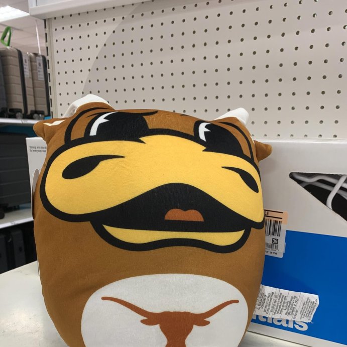 user image by @royboy1984, NCAA Texas Longhorns Plushie Mascot Pillow: Sports Team Logo Novelty Pillow