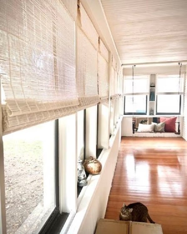 Cat Proof Blinds A Cute Guide for Cat Lovers Blindsgalore Blog