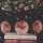 Hopeless - by  Colleen Hoover (Paperback)