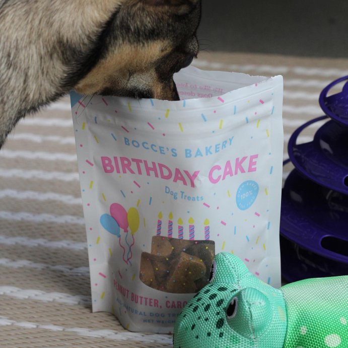 user image by @the.chiweenie.chip, Bocce&#39;s Bakery Birthday Cake with Peanut Butter, Carob and Vanilla Flavors Dog Treats - 5oz