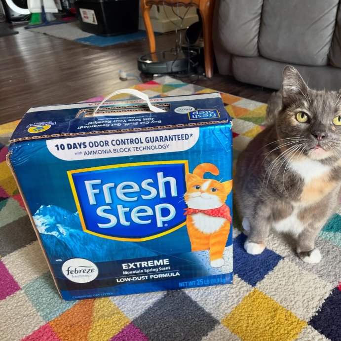 user image by @emmalillyolive, Fresh Step Extreme Scented Litter with the Power of Febreze Clumping Cat Litter - Mountain Spring
