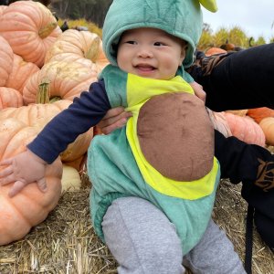 Baby Avocado Costume Baby Halloween Costume Set Avocado/Pumpkin - Main Image
