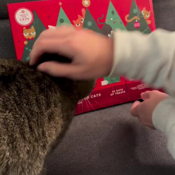 user image by @mapledianethecat, 25 Day Advent Calendar Chicken Flavor Cat Treat - Wondershop&#8482; 4.3oz