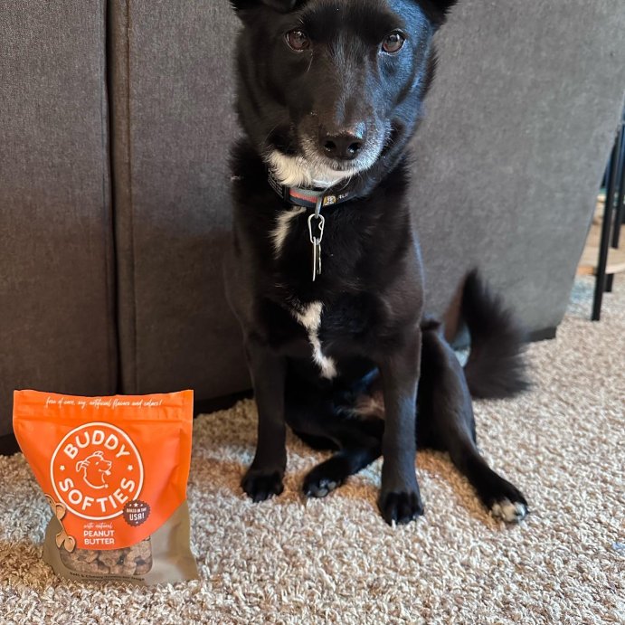 user image by @cayenneandthepepper, Buddy Biscuits Grain-Free Soft and Chewy Treats with Peanut Butter Dry Dog Treats - 5oz