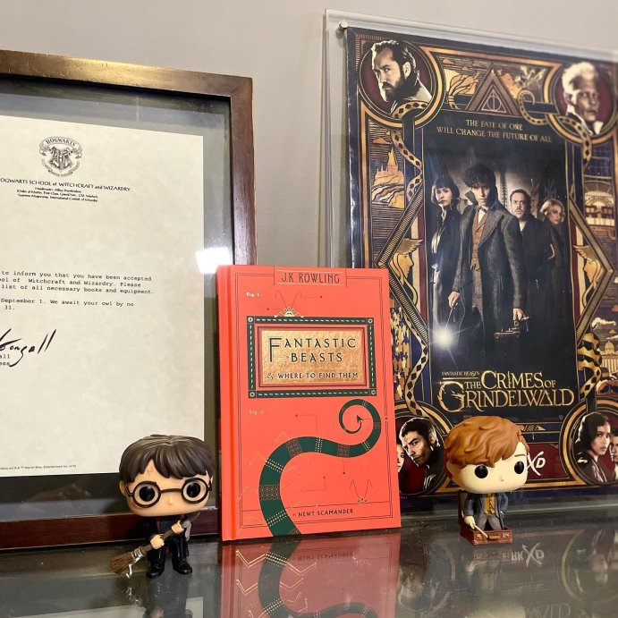 user image by @dannyfandoms, Fantastic Beasts & Where to Find Them (Hardcover) (Newt Scamander & J. K. Rowling)