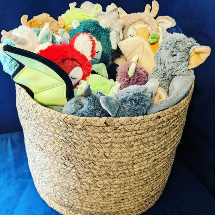 user image by @mrsjessicarwilson, Braided Water Hyacinth Storage Basket with Fabric Tie Closure - XL - Cloud Island&#8482;