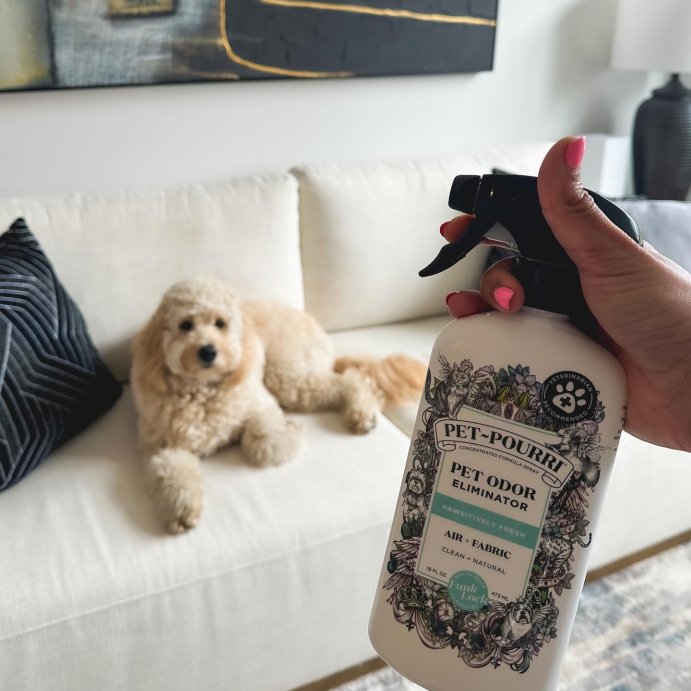 user image by @preetiikumarr, Poo-Pourri Pet Odor Refresher Pawsitivly Fresh Scented Air Freshener - 16 fl oz