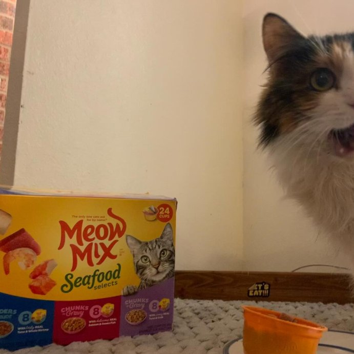user image by @sallyann429, Meow Mix Seafood Selections Wet Cat Food with Shrimp, Salmon, Crab &#38; Tuna Flavor - 2.75oz/24ct Variety Pack