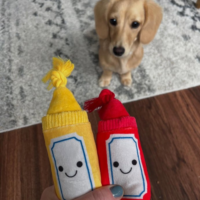 user image by @buttersbarks, Americana Ketchup and Mustard Dog Plush Set - 2pcs - Sun Squad&#8482;