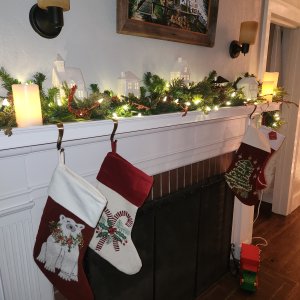 User generated image 1