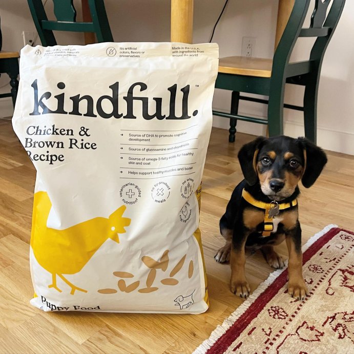 user image by @roccorescuelife, Chicken and Brown Rice Puppy Recipe Dry Dog Food - Kindfull™