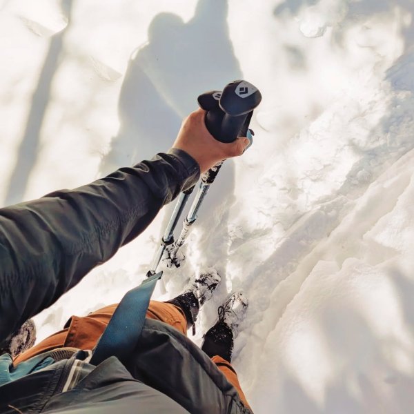 Black Diamond Trail Back Bastoncini Da Trekking 2025 - Leggeri E Resistenti In Alluminio Con Impugnatura In Sughero (Blu Creek)