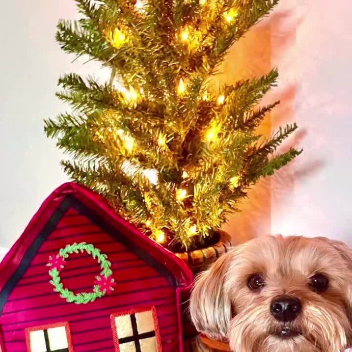 user image by @penny_in_mass, Hallmark Novelty Gingerbread House Dec Pillow Red